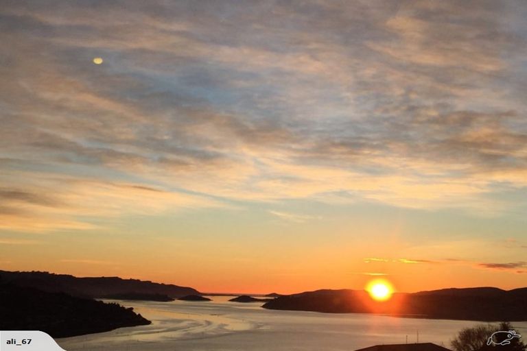 Photo of property in 7 Harbour Heights, Waverley, Dunedin, 9013