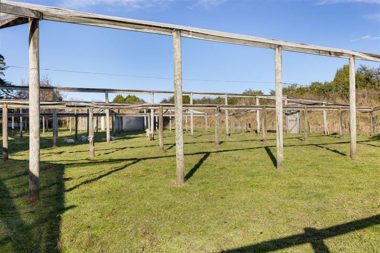 Photo of property in 144 Blind Creek Road, Tuamarina, Blenheim, 7273