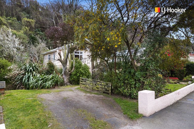 Photo of property in 59 Somerville Street, Andersons Bay, Dunedin, 9013