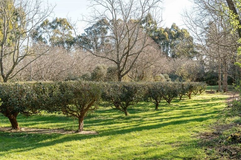 Photo of property in 250 Upper Manaia Road, Upper Plain, Masterton, 5888