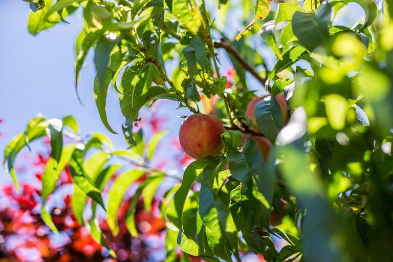 Photo of property in 4 Tui Street, Alicetown, Lower Hutt, 5010