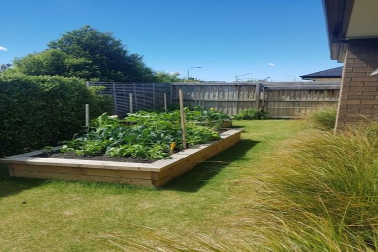 Photo of property in 24 Navy Loop, Rolleston, 7614