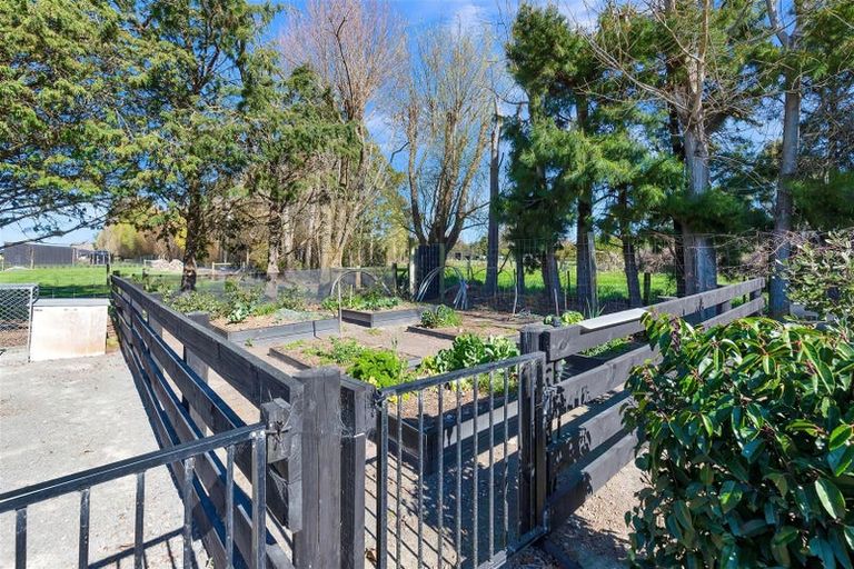 Photo of property in 6 Hallfield Drive, Ohoka, Kaiapoi, 7692