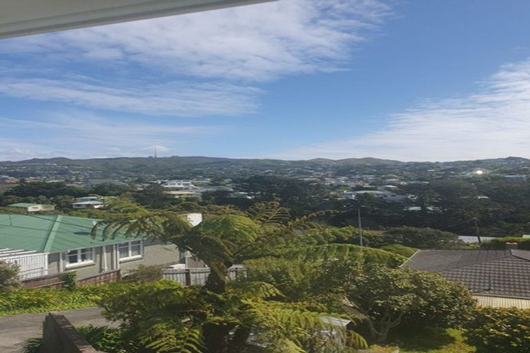 Photo of property in 100 Helston Road, Paparangi, Wellington, 6037