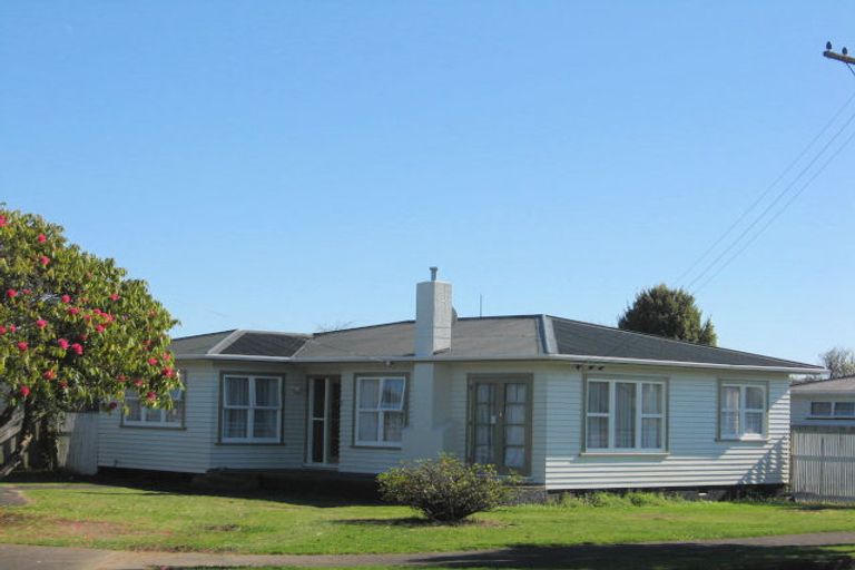 Photo of property in 5 Bledisloe Street, Levin, 5510