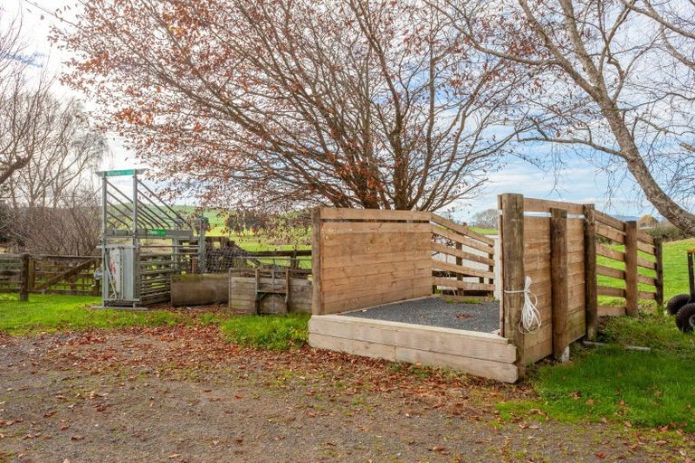 Photo of property in 485 Kiwitahi Railway Road, Morrinsville, 3371
