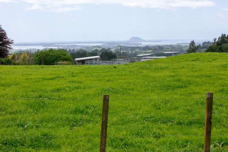 Photo of property in 854 Wright Road, Aongatete, Katikati, 3181