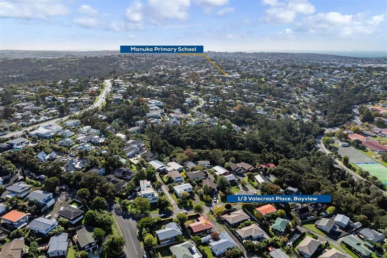 Photo of property in 1/3 Valecrest Place, Bayview, Auckland, 0629