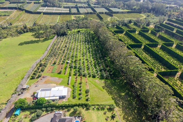 Photo of property in 89 Conifer Lane, Kerikeri, 0294