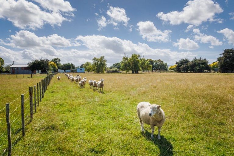 Photo of property in 226 Waughs Road, Bunnythorpe, Feilding, 4775