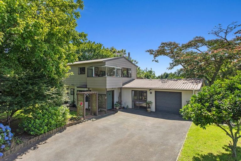 Photo of property in 153a Hogg Road, Rotoma, Whakatane, 3192