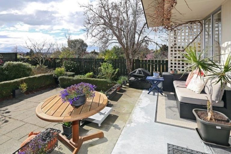 Photo of property in 1/32 Greenwood Road, Havelock North, 4130