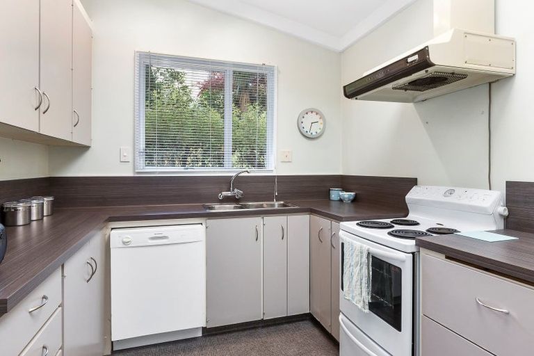 Photo of property in 41b Melrose Street, Roslyn, Dunedin, 9010