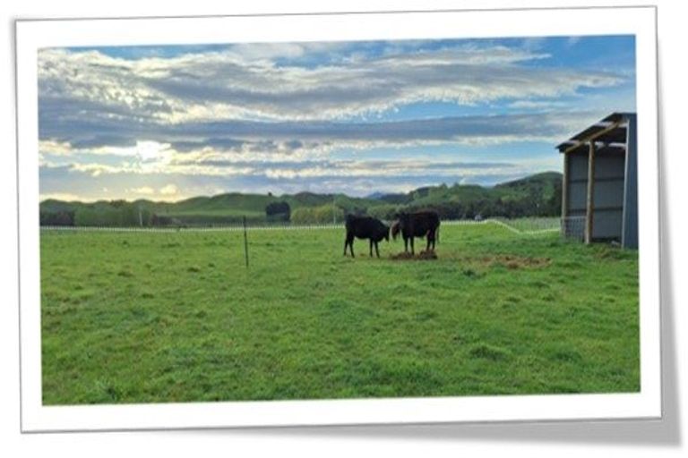 Photo of property in 161 Te Awa Road, Pohangina, Ashhurst, 4777