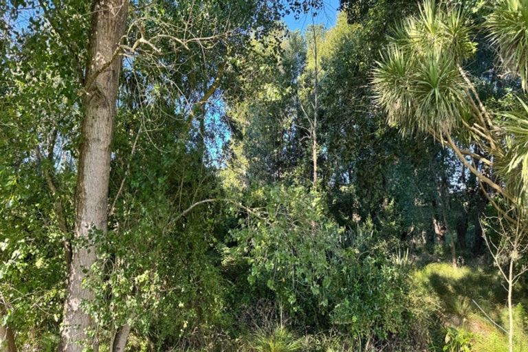 Photo of property in 70 Te Whanga Road, Levin, 5572