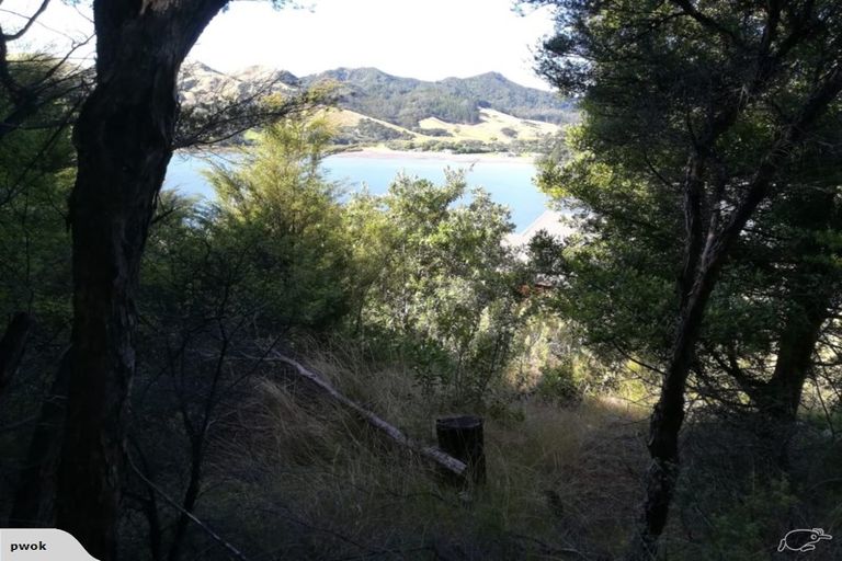 Photo of property in 1455 Port Charles Road, Port Charles, Coromandel, 3584