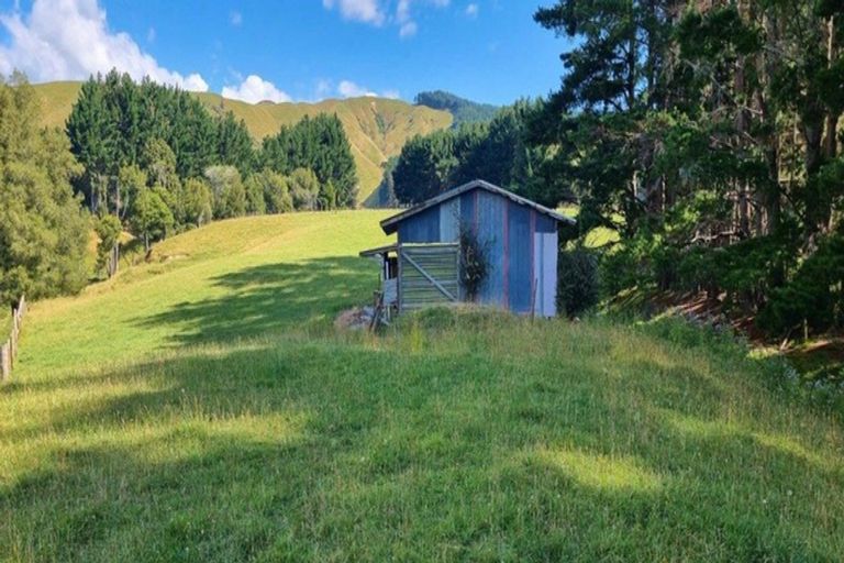 Photo of property in 216 Potts Road, Koputaroa, Levin, 5571