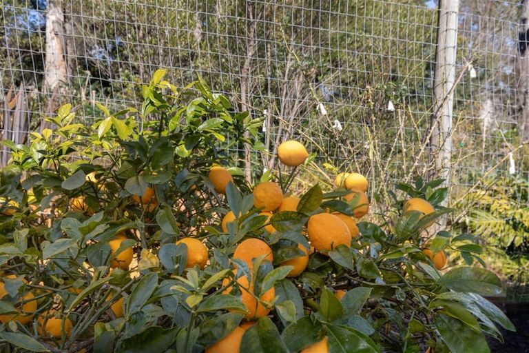 Photo of property in 11a Gregson Drive, Huntly, 3700