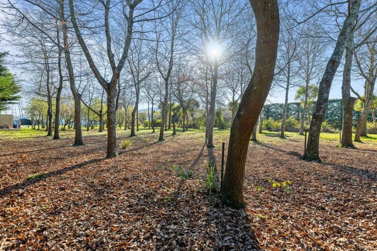 Photo of property in 8 Pattons Road, Mount Somers, 7771