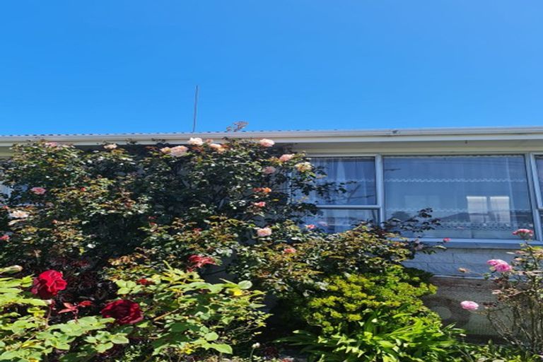 Photo of property in 13a Helena Street, Forbury, Dunedin, 9012