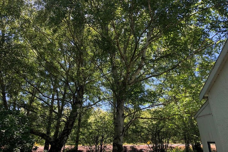 Photo of property in 624 Kyeburn-hyde Road, Kokonga, Ranfurly, 9397