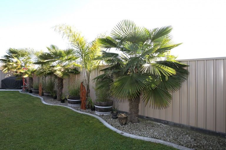 Photo of property in 6 Lowry Place, Frimley, Hastings, 4120