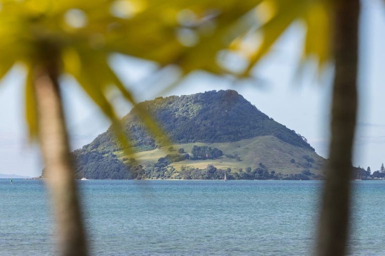 Photo of property in 3/104 Harbour Drive, Otumoetai, Tauranga, 3110