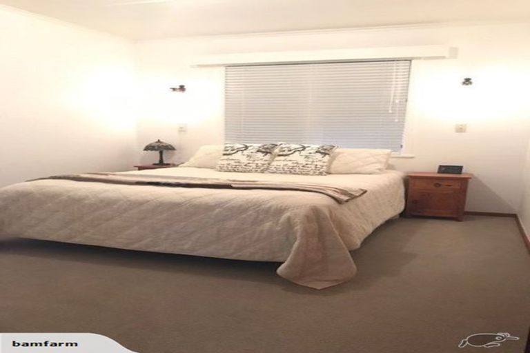 Photo of property in 50 Pagitt Street, Coromandel, 3506