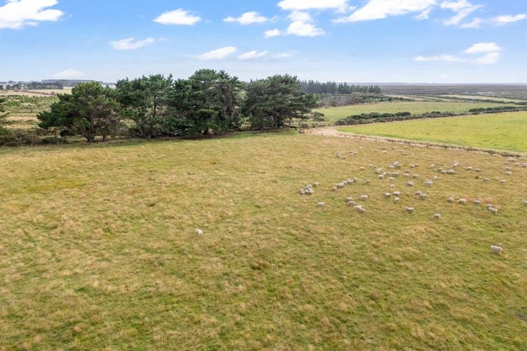 Photo of property in 559 Tiwai Road, Awarua Plains, Invercargill, 9877