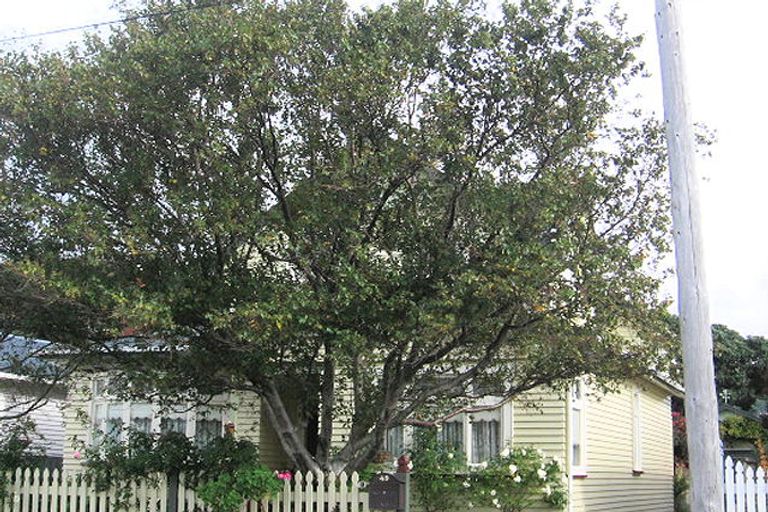 Photo of property in 49 Kensington Avenue, Petone, Lower Hutt, 5012