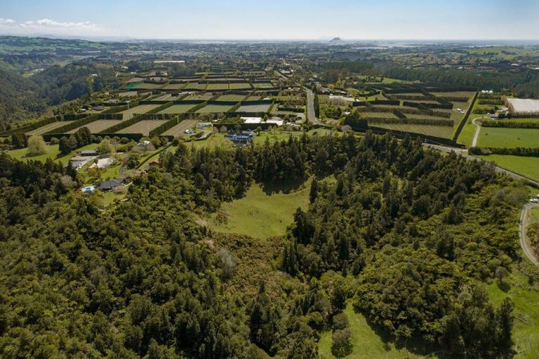 Photo of property in 860c Pyes Pa Road, Pyes Pa, Tauranga, 3173