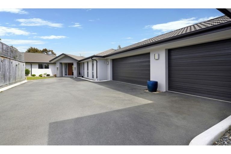 Photo of property in 175 Queen Street, Richmond, 7020