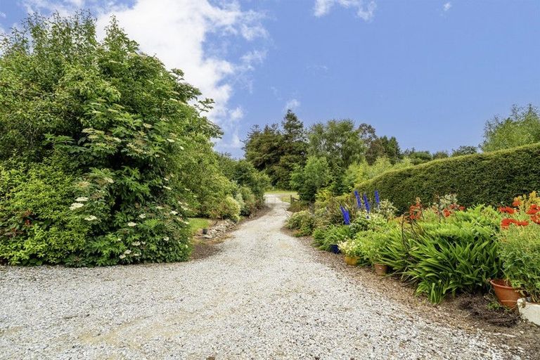 Photo of property in 8 London Street, Hampden, 9410