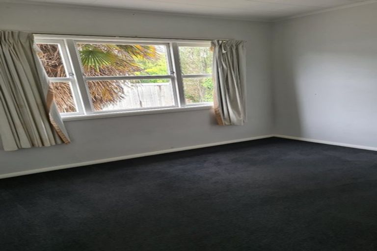 Photo of property in 137 Clarkin Road, Fairfield, Hamilton, 3214