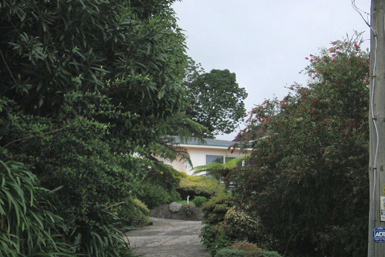 Photo of property in 29 Lewis Street, Paeroa, 3600