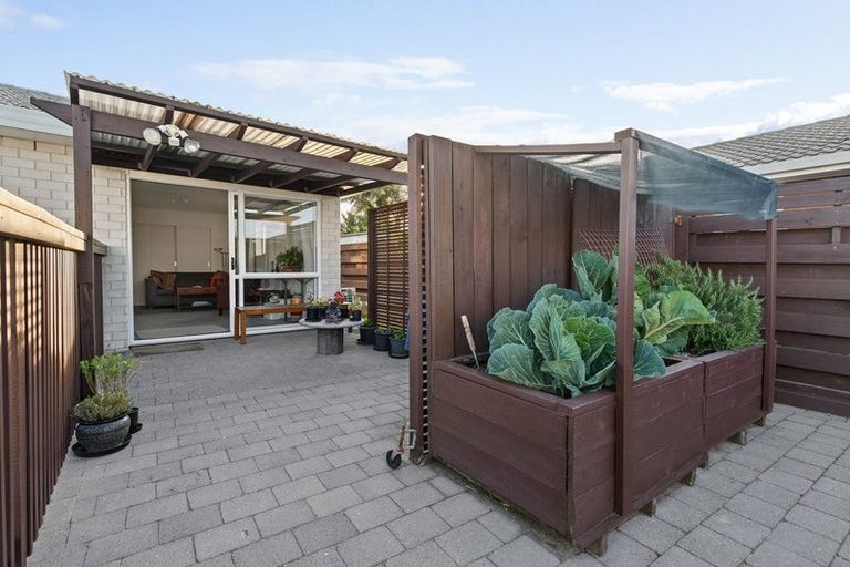 Photo of property in 184 Grenada Street, Mount Maunganui, 3116
