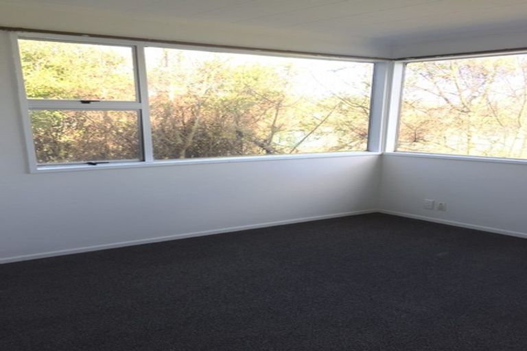 Photo of property in 183 Dundas Street, North Dunedin, Dunedin, 9016