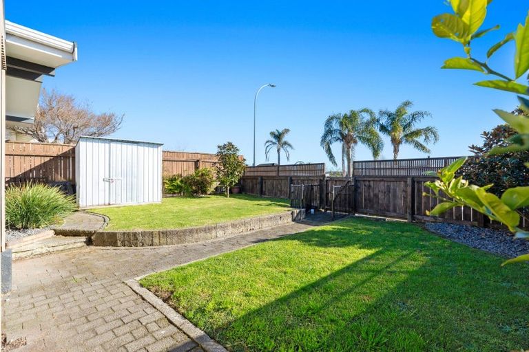 Photo of property in 8a Lincoln Terrace, Gate Pa, Tauranga, 3112