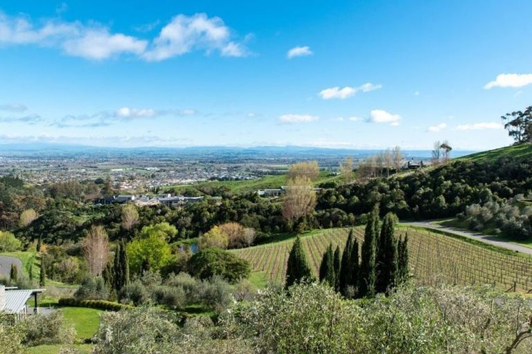 Photo of property in 137 Blackbarn Road, Havelock North, 4294