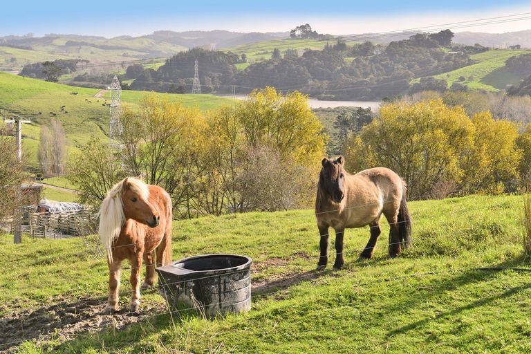 Photo of property in 6b Mountain Road, Kaiwaka, Maungaturoto, 0587