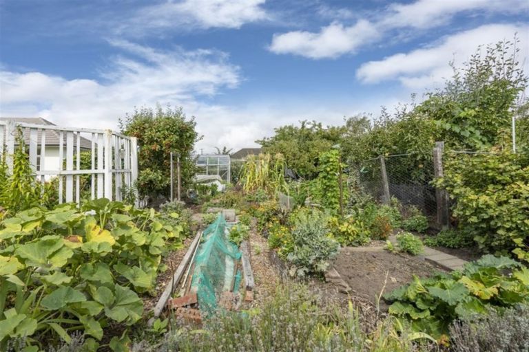 Photo of property in 17 Bampton Street, Burwood, Christchurch, 8061