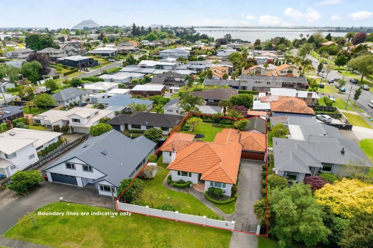 Photo of property in 89 Thirteenth Avenue, Tauranga South, Tauranga, 3112