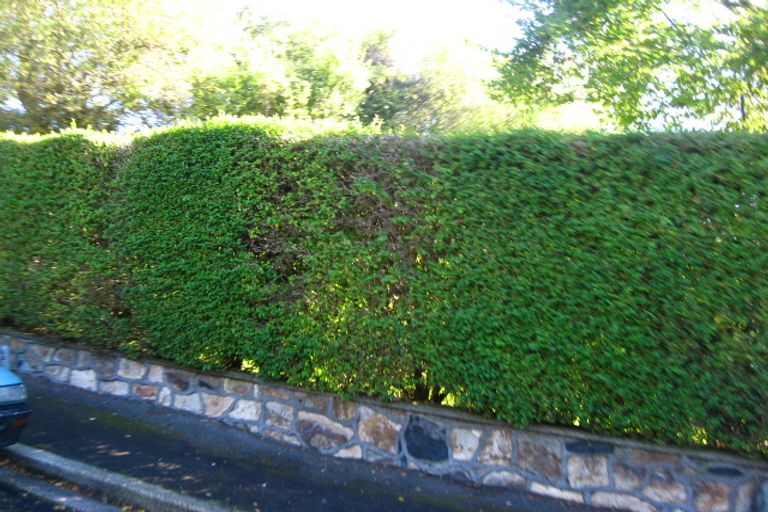 Photo of property in 10 Picardy Street, Maryhill, Dunedin, 9011