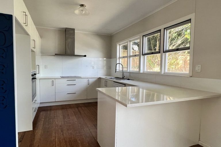 Photo of property in 14 Brian Avenue, Forrest Hill, Auckland, 0620