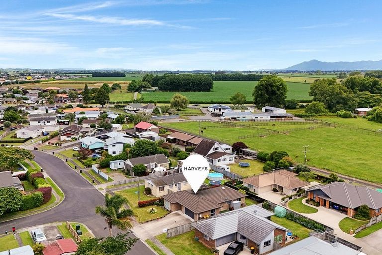 Photo of property in 28 Nikau Place, Matamata, 3400