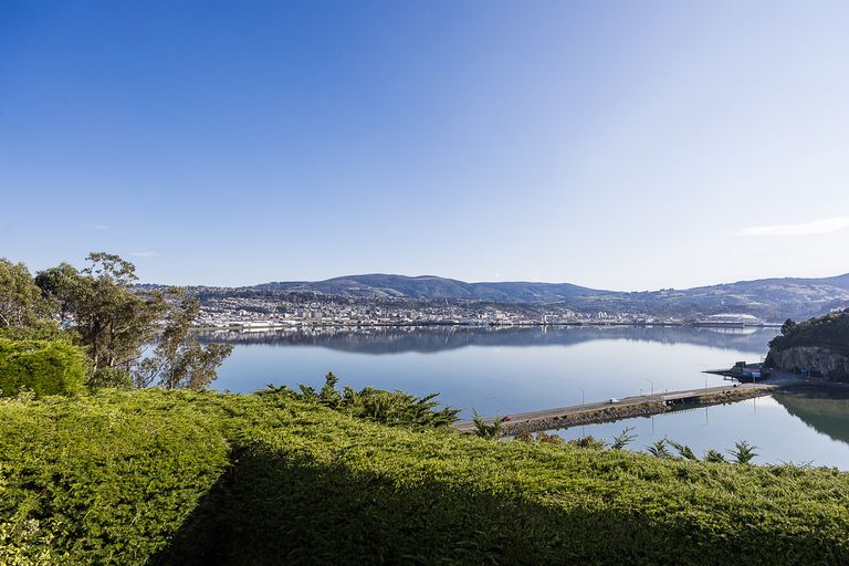 Photo of property in 91 Moana Crescent, Musselburgh, Dunedin, 9013