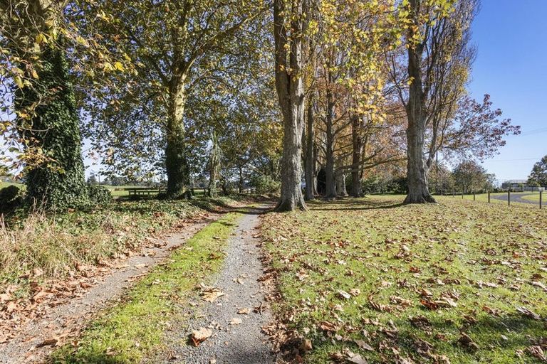 Photo of property in 208 Livingstone Road, Te Poi, Matamata, 3473