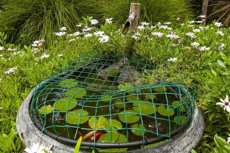 Photo of property in 16 Ranginui Street, Mangonui, 0420