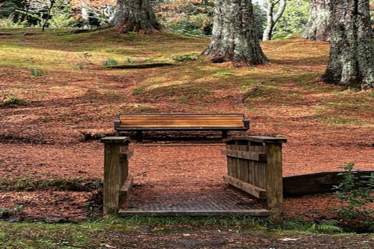 Photo of property in 135a Mclaren Falls Road, Omanawa, Tauranga, 3171