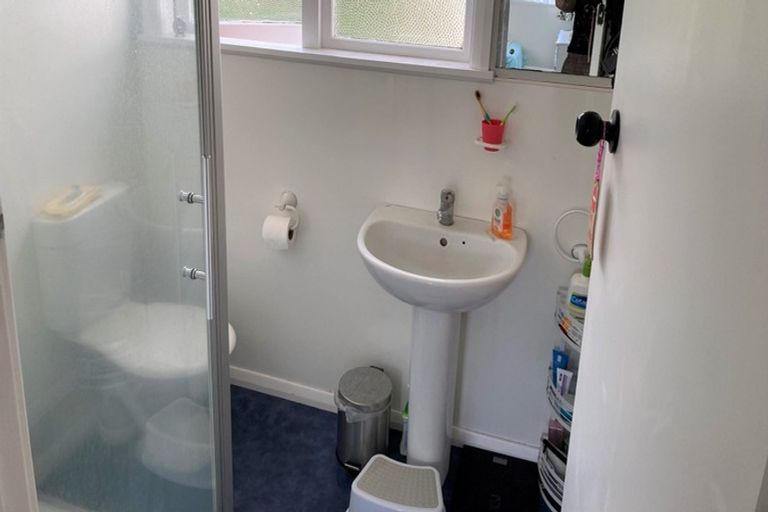 Photo of property in 99 Rimu Street, Maeroa, Hamilton, 3200